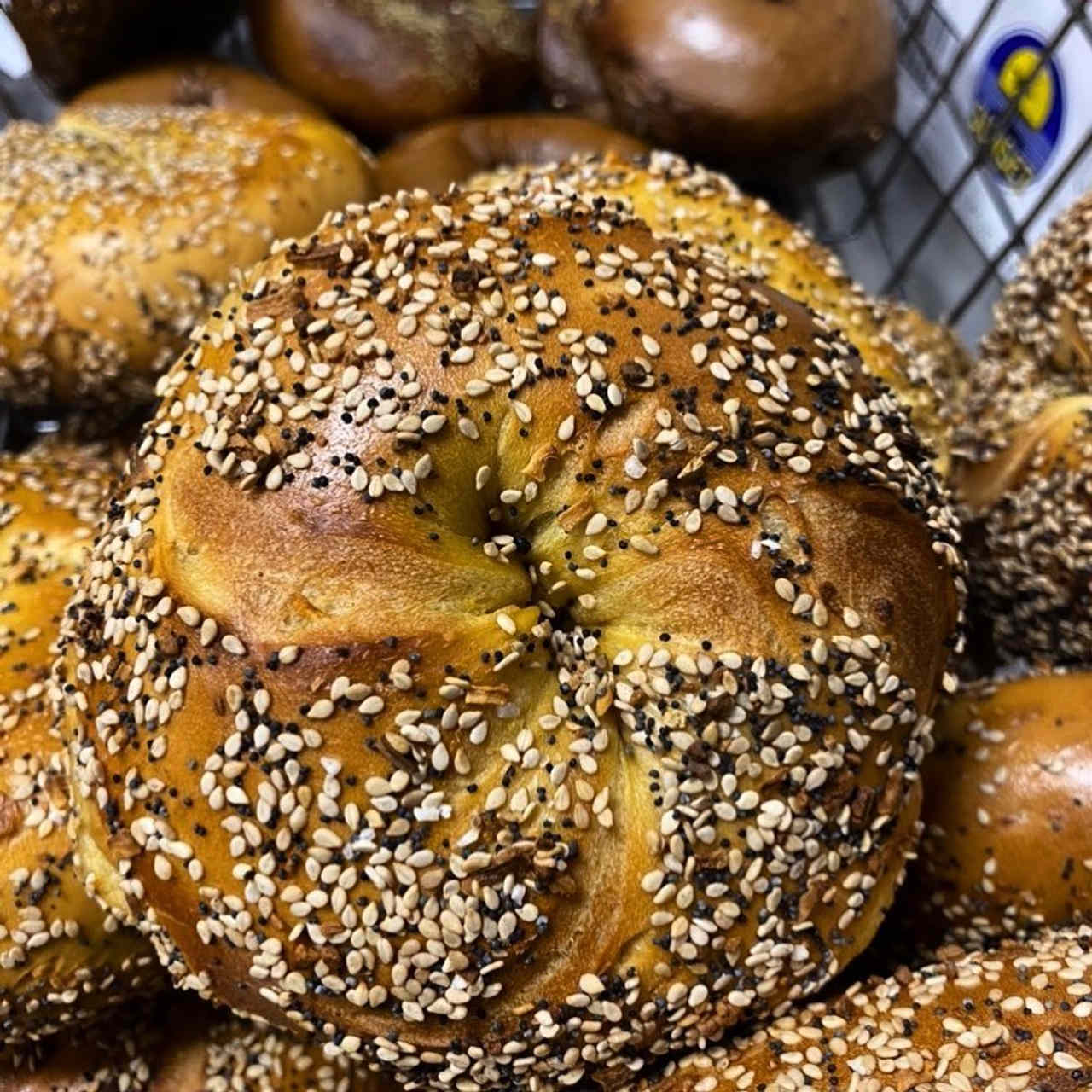 Manhasset bagels