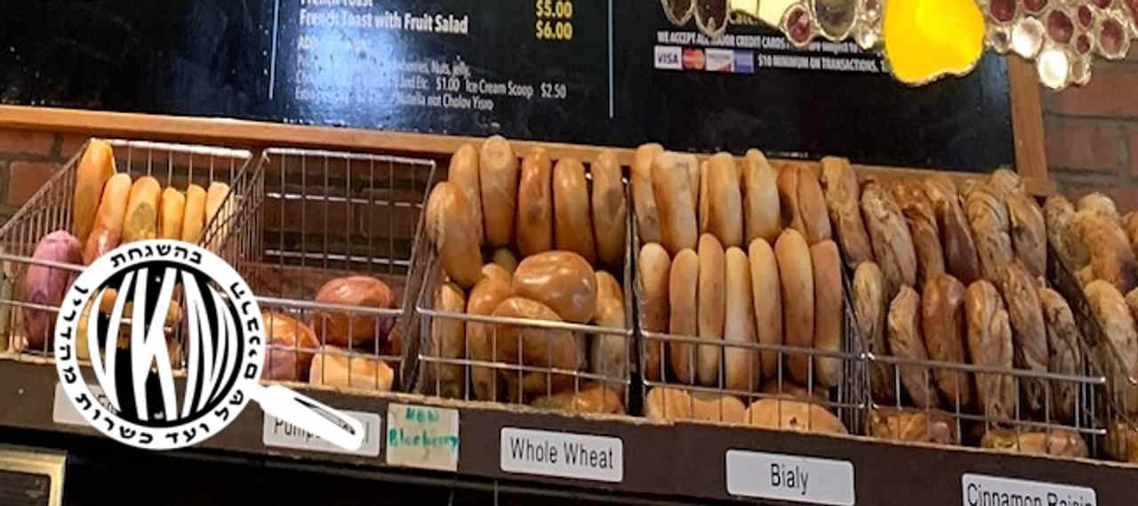 Bagels & co.