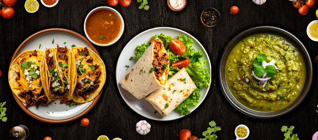 Tacos el gordis quio llc