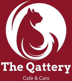 The Qattery Cafe And Cats
