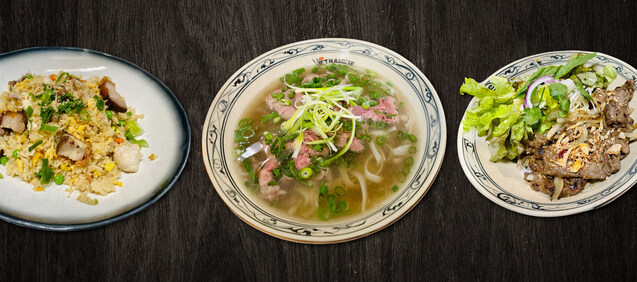 The vietnamese house