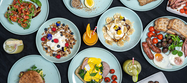 Schnithouse aston hills