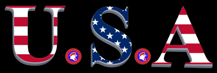 Usa Fried Chicken & Kebabs