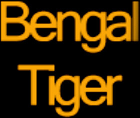 Bengal Tiger
