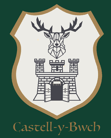 Castell Y Bwch Inn